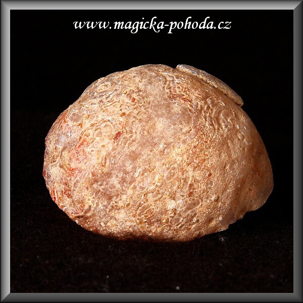 Peříčkový Achát D1211XV-16