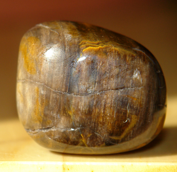 Zkamenělé dřevo 31