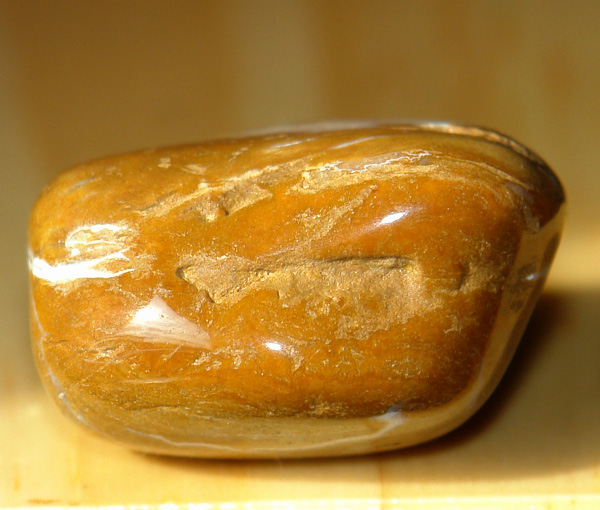 Zkamenělé dřevo 36