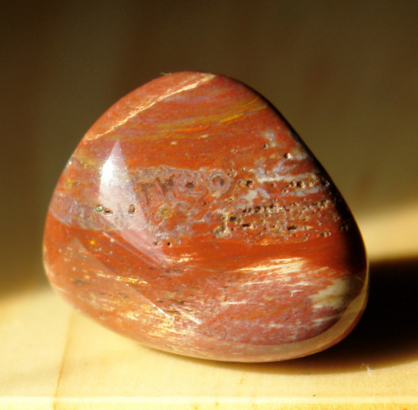 Zkamenělé dřevo 40