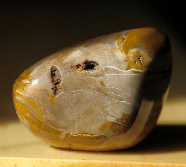 Zkamenělé dřevo 41