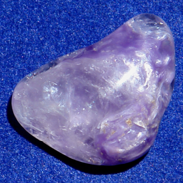 Čaroit D41