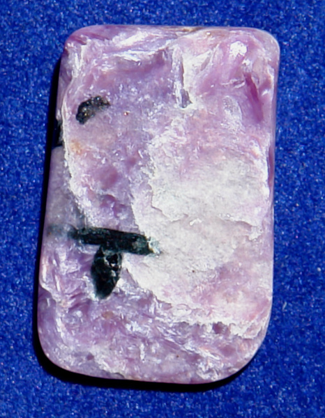 Čaroit D42