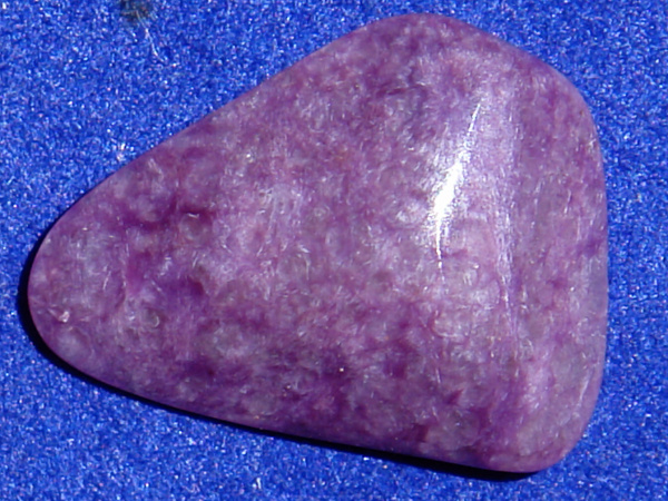 Čaroit D49