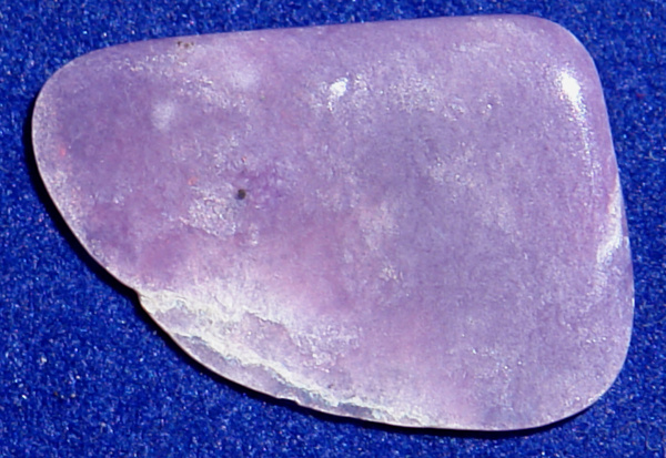 Čaroit D59