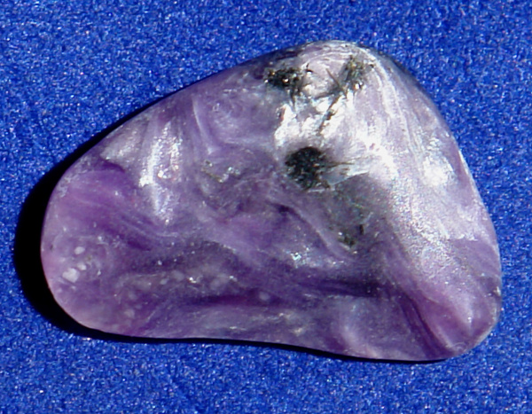 Čaroit D71