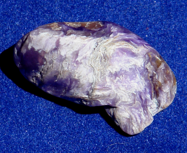 Čaroit D78