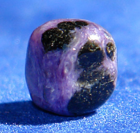 Čaroit D23
