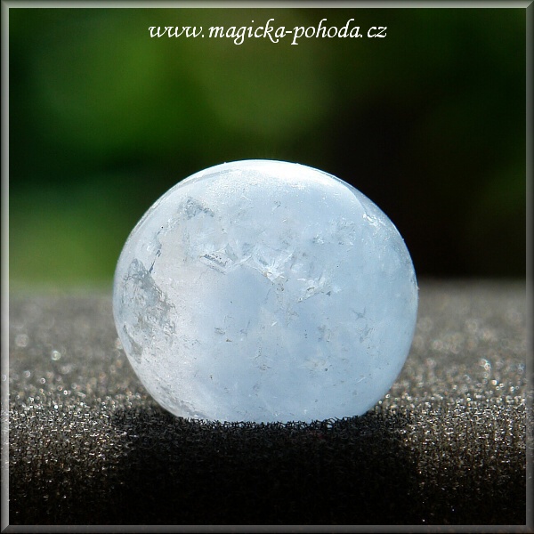 Celestin P0412XI-06