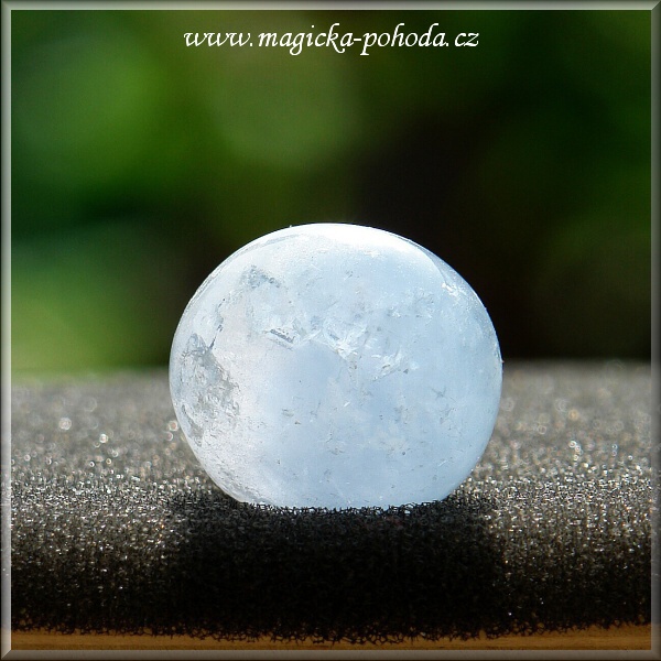 Celestin P0412XI-06