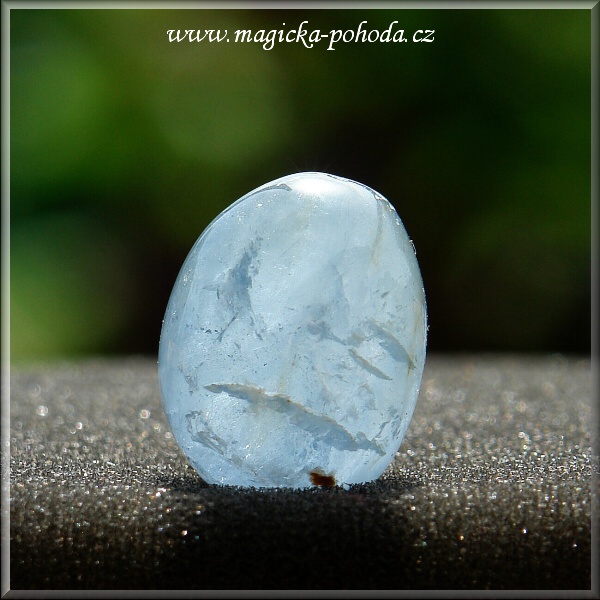 Celestin P0412XI-07