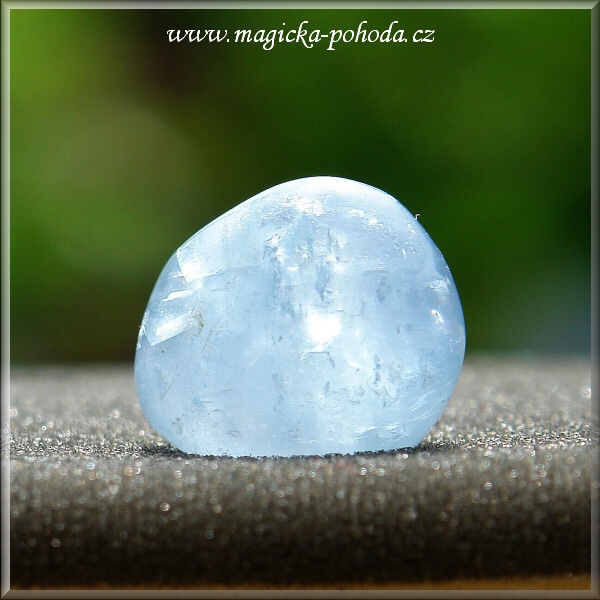 Celestin P0412XI-08
