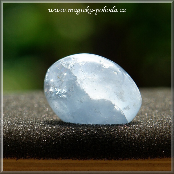 Celestin P0412XI-12