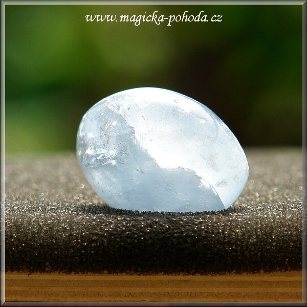 Celestin P0412XI-12