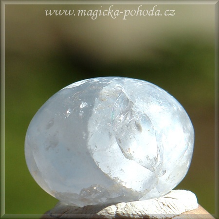 Celestin CH 0608XI043