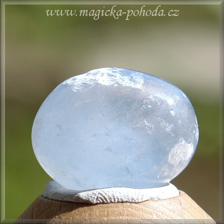 Celestin CH 0608XI044