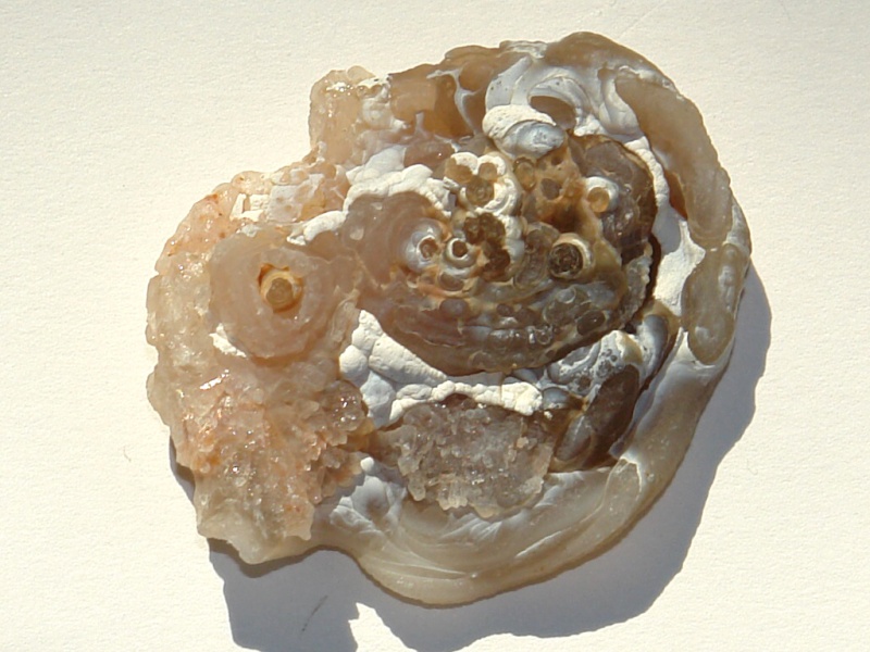 Chalcedon 1