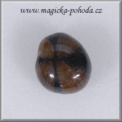 Chiastolit vrtaný přívěsek P2111XI36