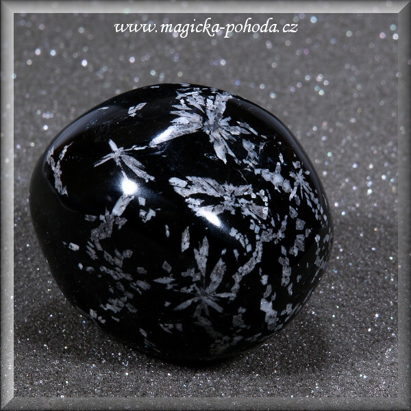 Chryzantémový kámen P 1504XII-05