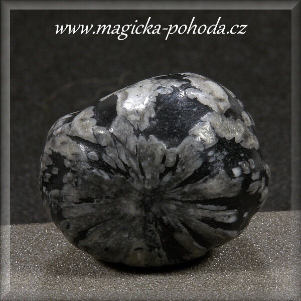 Chryzantémový kámen P 0512XI-23