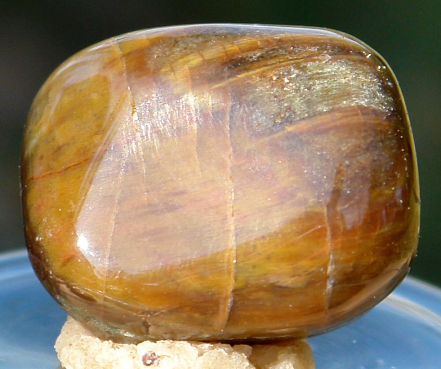Zkamenělé dřevo 08