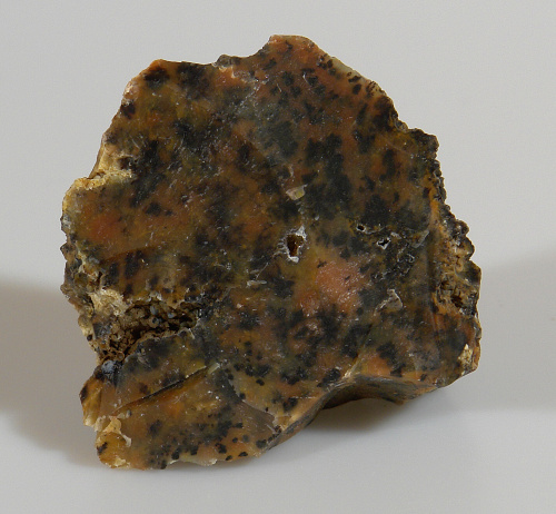 Jaspis Carijo CH25