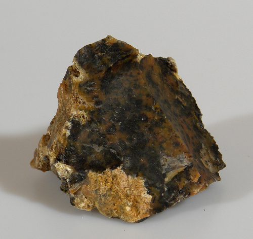 Jaspis Carijo CH25
