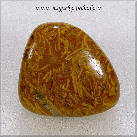 Jaspis Hadí 0310XI041