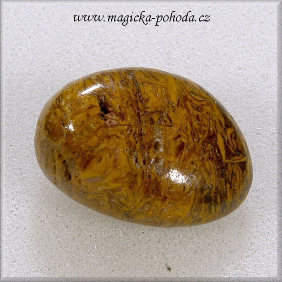 Jaspis Hadí 0310XI060