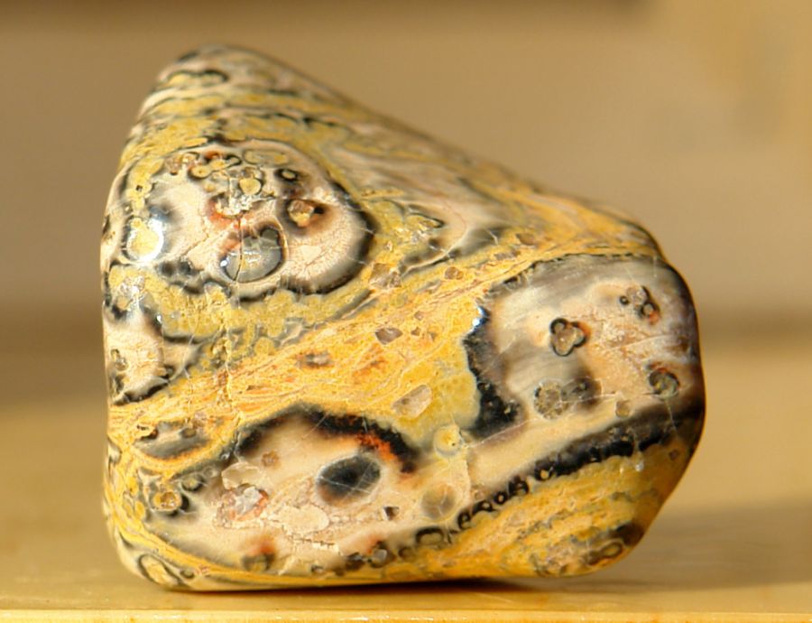 Jaspis Leopardí 01