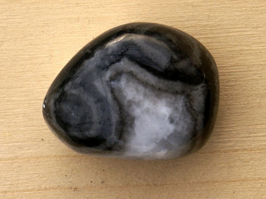 Jaspis Shell 02