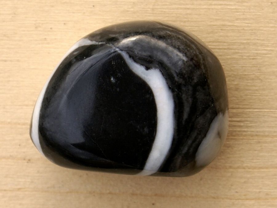 Jaspis Shell 03