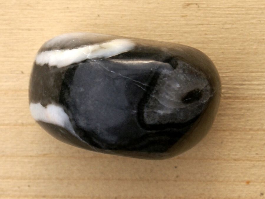 Jaspis Shell 03