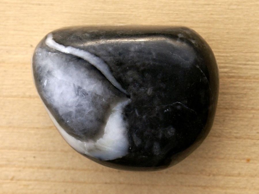 Jaspis Shell 04