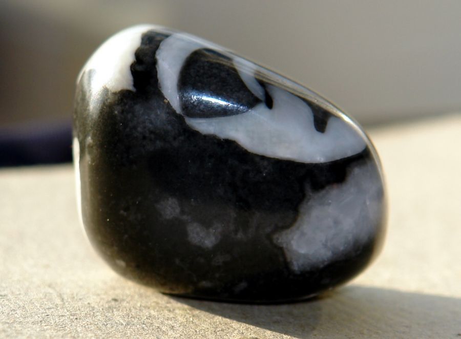 Jaspis Shell 05