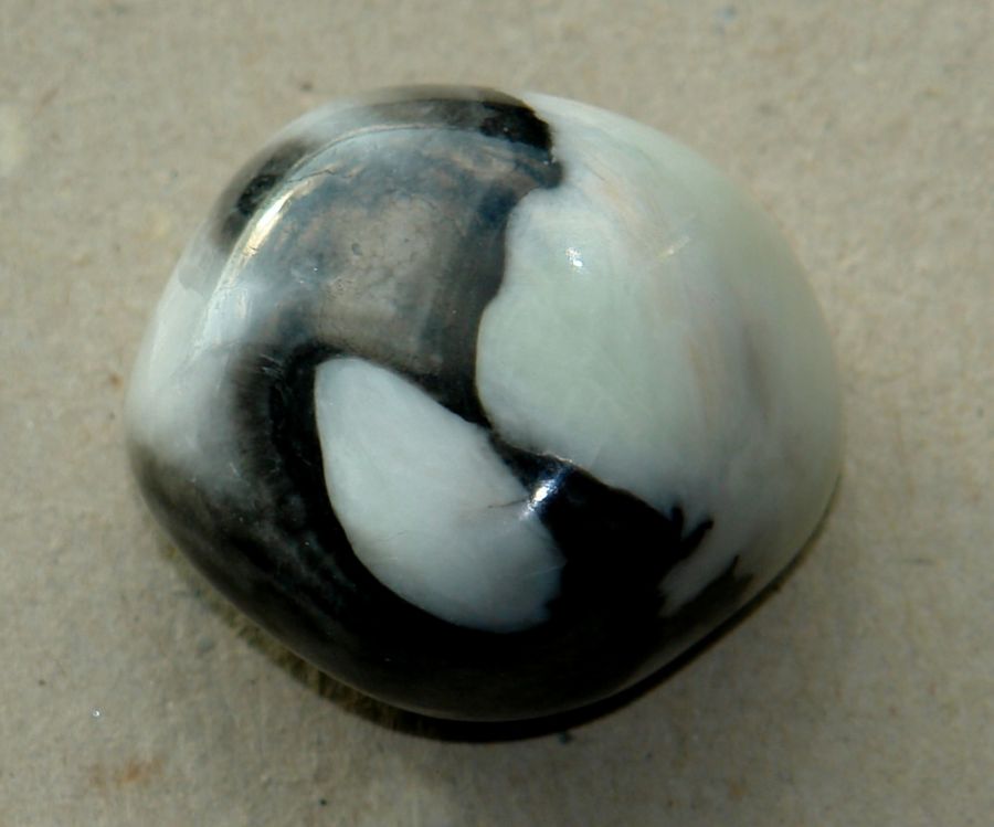 Jaspis Shell 06