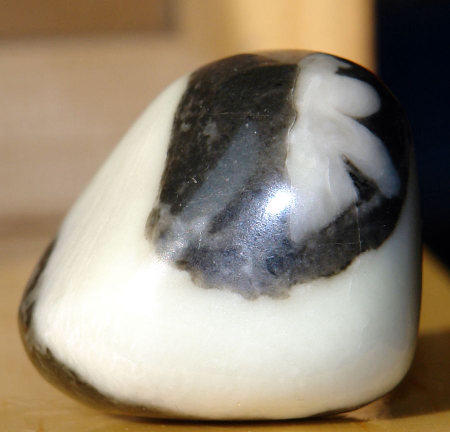 Jaspis Shell 11