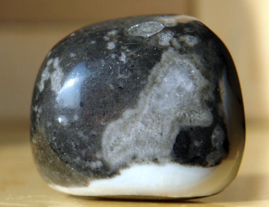 Jaspis Shell 14