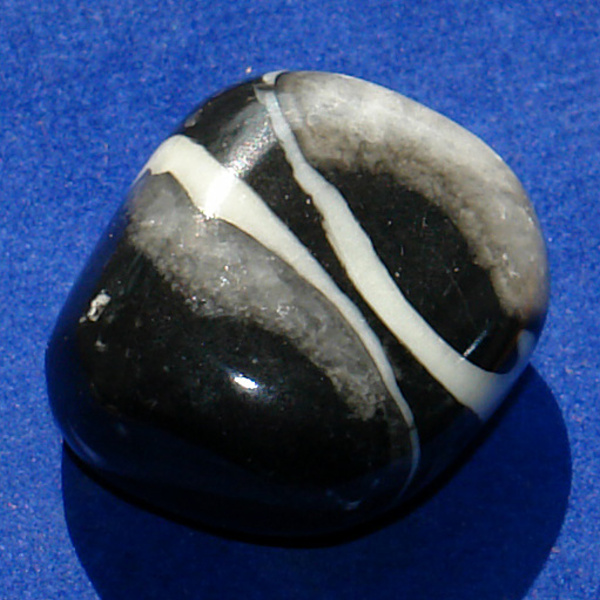Jaspis Shell 15