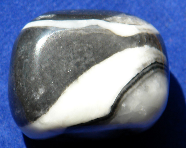 Jaspis Shell 16