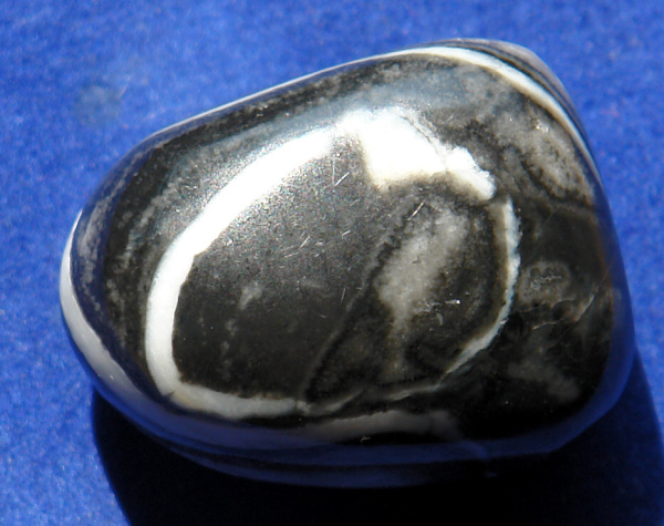 Jaspis Shell 17