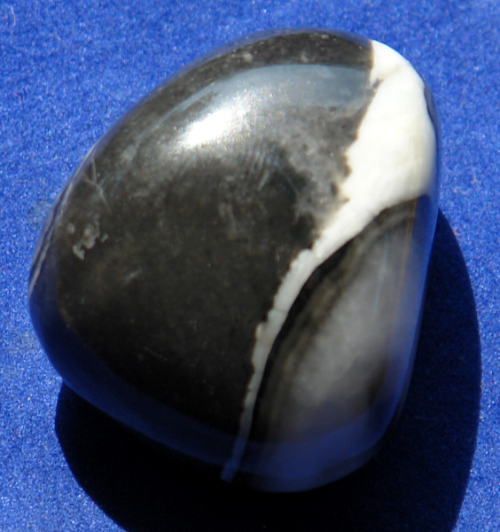 Jaspis Shell 18