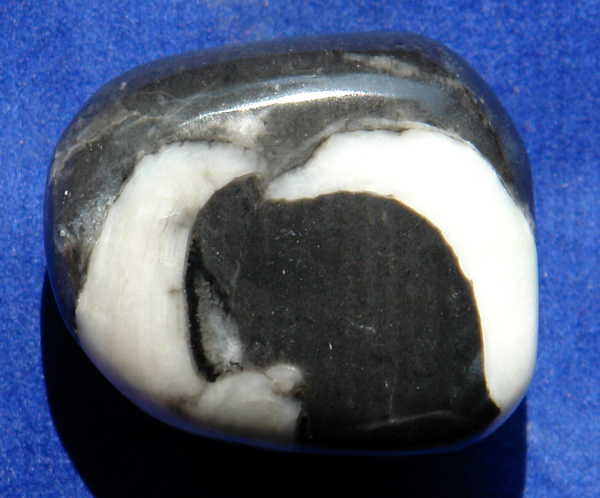 Jaspis Shell 19