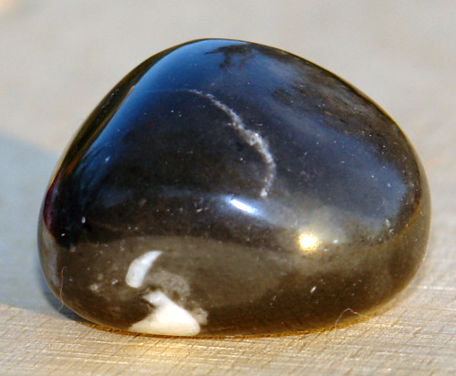 Jaspis Shell 20