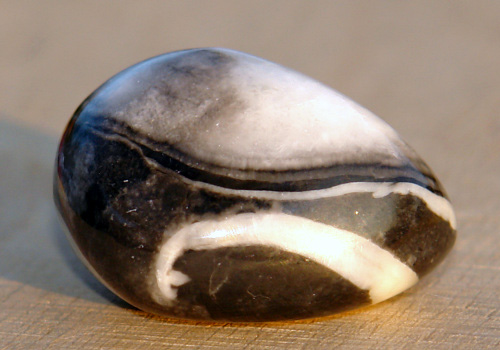 Jaspis Shell 21