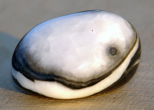 Jaspis Shell 21