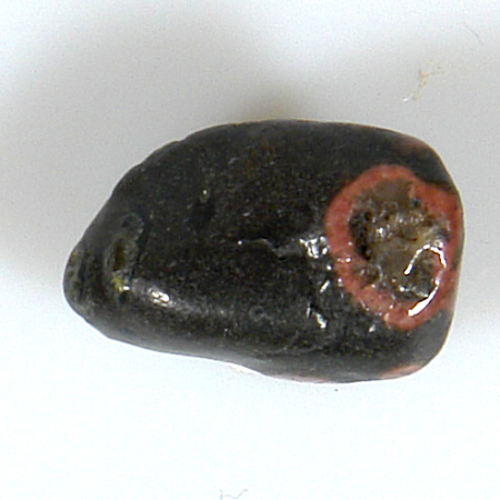 Jaspis skvrnitý P17