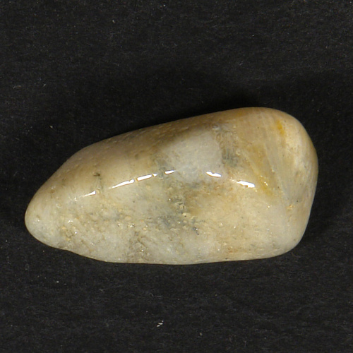 Korál zkamenělý P30