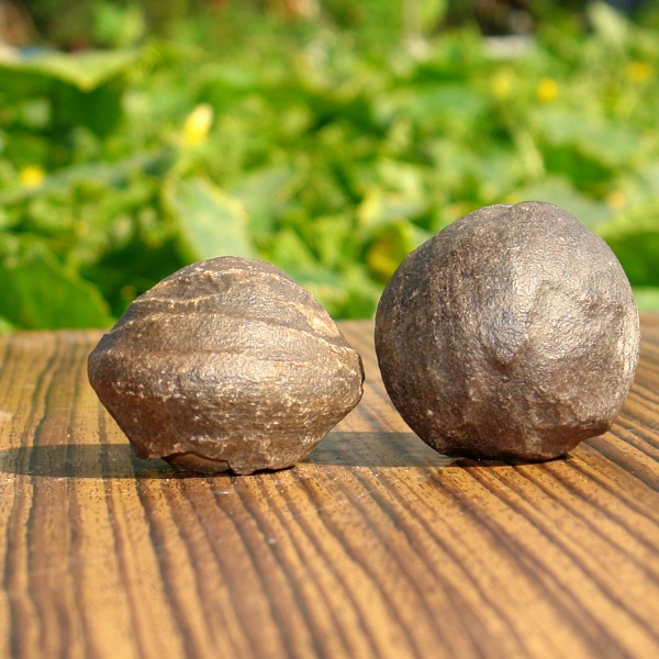 ***MOQUI MARBLES*** pár N081171