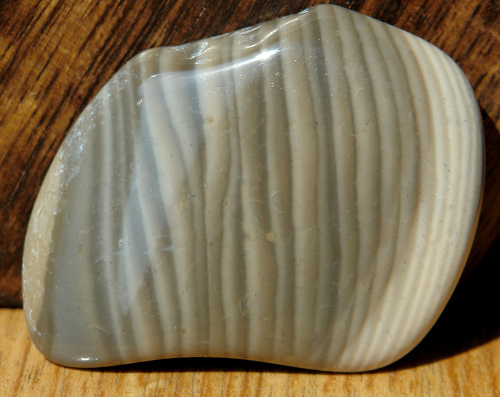 Silicit N03